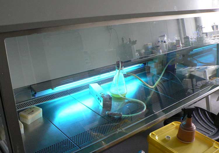 lampu tuv philips sumber lampu