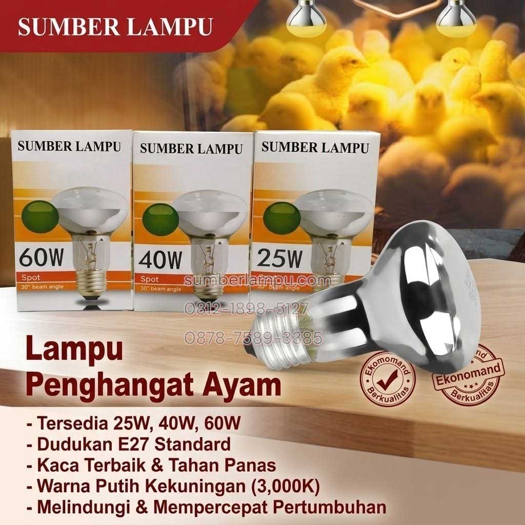 lampu penghangat ayam 40w