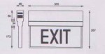 Emergency LED Exit