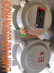 lampu explosion proof led