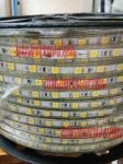 Lampu LED Strip 5050 100meter AC220v