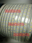 Lampu LED Strip 2Baris Chip 5730 White 100Meter