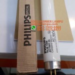 lampu serangga philips