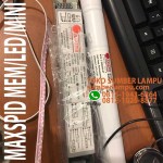 maxpsid mem led mini